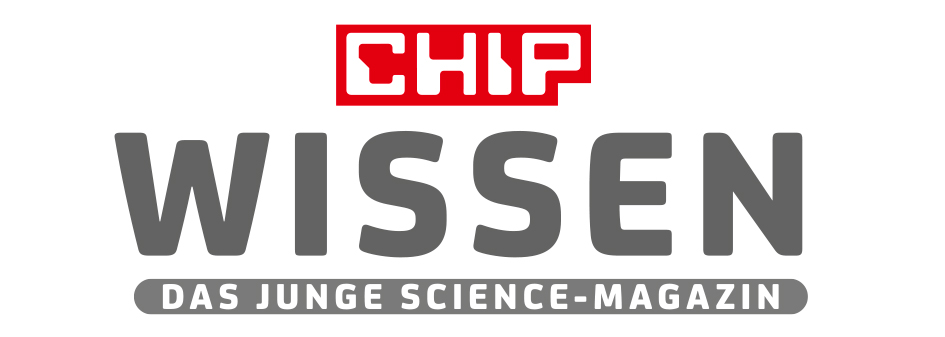 Logo Chip Wissen